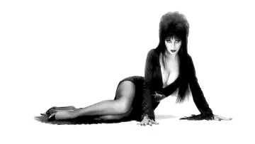 Backdrop to the movie "Elvira: Mistress of the Dark" #278280