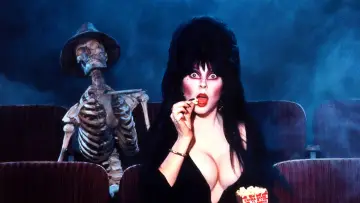 Backdrop to the movie "Elvira: Mistress of the Dark" #278282
