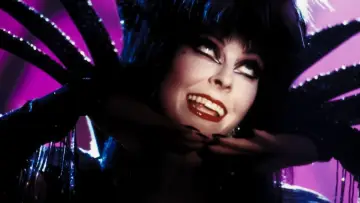 Backdrop to the movie "Elvira: Mistress of the Dark" #278286