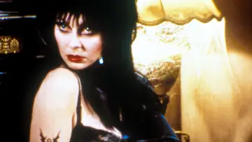 Backdrop to the movie "Elvira: Mistress of the Dark" #278287