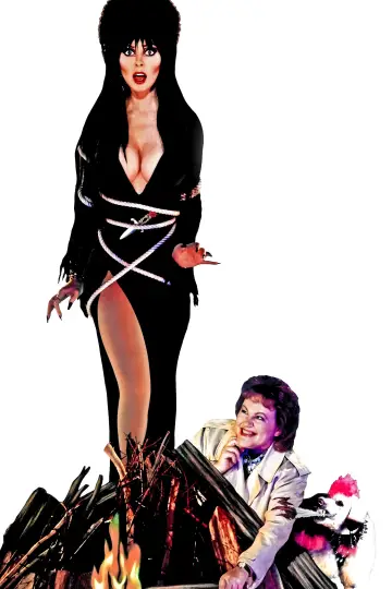 Poster to the movie "Elvira: Mistress of the Dark" #278295