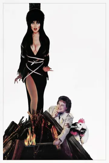 Poster to the movie "Elvira: Mistress of the Dark" #278297