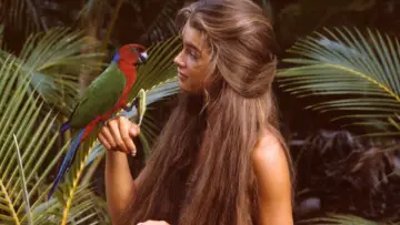 Backdrop to the movie "The Blue Lagoon" #684171