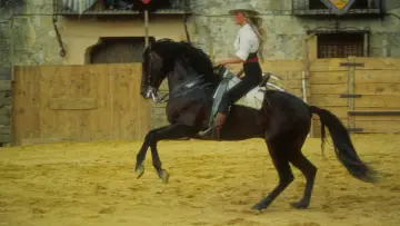 Backdrop to the movie "Bolero" #1098338