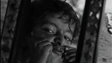 Backdrop to the movie "Pather Panchali" #751188