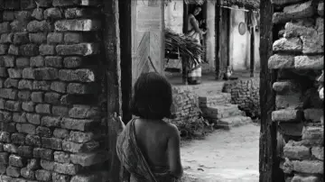 Backdrop to the movie "Pather Panchali" #751192