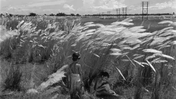 Backdrop to the movie "Pather Panchali" #751193