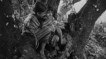 Backdrop to the movie "Pather Panchali" #751195
