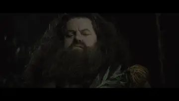 Backdrop to the movie "Harry Potter and the Goblet of Fire" #556581