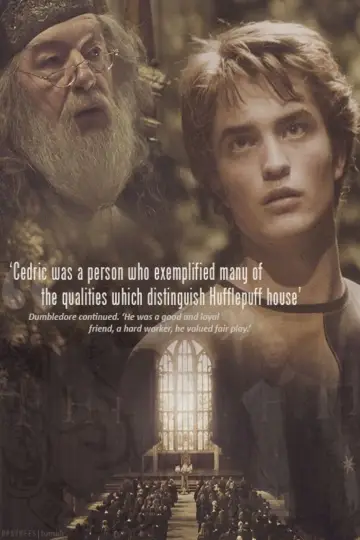 Poster to the movie "Harry Potter and the Goblet of Fire" #829991