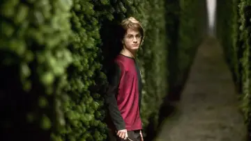 Backdrop to the movie "Harry Potter and the Goblet of Fire" #959482