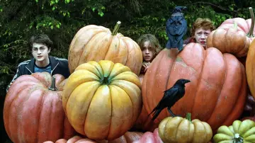 Backdrop to the movie "Harry Potter and the Prisoner of Azkaban" #546495