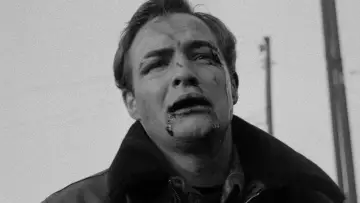 Backdrop to the movie "On the Waterfront" #1884046