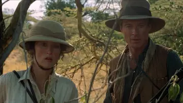 Backdrop to the movie "Out of Africa" #663718