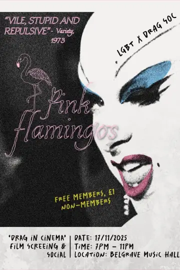 Poster to the movie "Pink Flamingos" #1303872