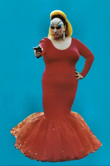 Poster to the movie "Pink Flamingos" #853134
