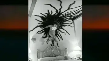 Backdrop to the movie "Poltergeist" #1164638