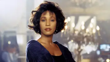 Backdrop to the movie "The Bodyguard" #703449