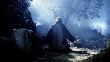 Backdrop to the movie "The Passion of the Christ" #1824291