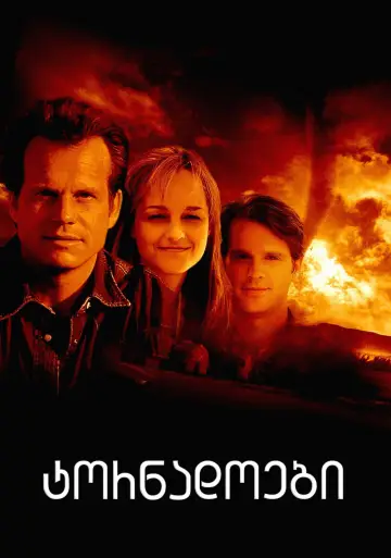 Poster to the movie "Twister" #1724716