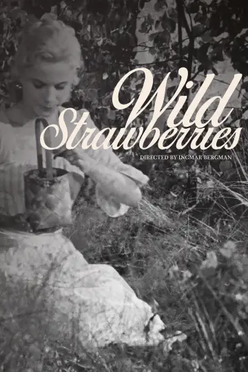 Poster to the movie "Wild Strawberries" #1165441