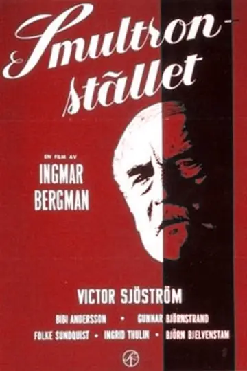 Poster to the movie "Wild Strawberries" #1646971