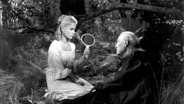 Backdrop to the movie "Wild Strawberries" #1829951