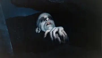 Backdrop to the movie "Nosferatu the Vampyre" #1828426