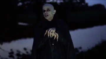 Backdrop to the movie "Nosferatu the Vampyre" #896877