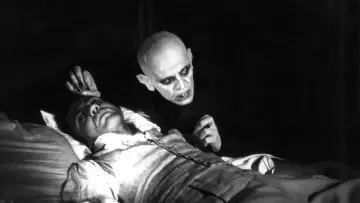 Backdrop to the movie "Nosferatu the Vampyre" #896892