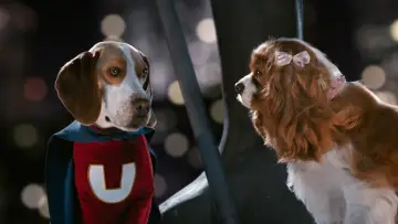 Backdrop to the movie "Underdog" #1832240