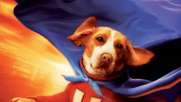 Backdrop to the movie "Underdog" #1832241