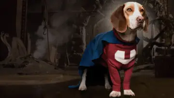 Backdrop to the movie "Underdog" #398499