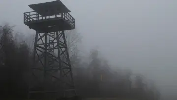 Backdrop to the movie "The Village" #728800