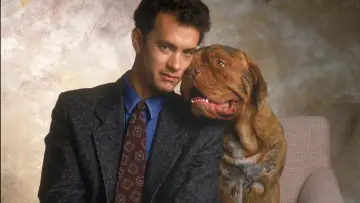 Backdrop to the movie "Turner & Hooch" #1646950