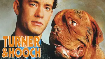 Backdrop to the movie "Turner & Hooch" #1646952