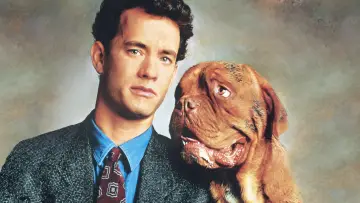 Backdrop to the movie "Turner & Hooch" #999297