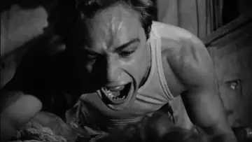 Backdrop to the movie "A Streetcar Named Desire" #726940