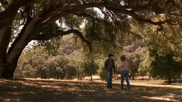 Backdrop to the movie "Almost Famous" #695415