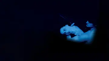Backdrop to the movie "Blue Velvet" #626917