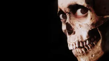 Backdrop to the movie "Evil Dead II" #633960