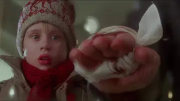 Backdrop to the movie "Home Alone" #1362699