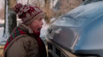Backdrop to the movie "Home Alone" #1362702