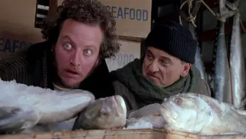Backdrop to the movie "Home Alone 2: Lost in New York" #163447