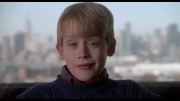 Backdrop to the movie "Home Alone 2: Lost in New York" #566963