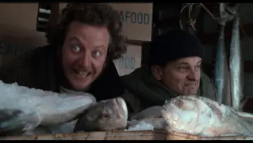 Backdrop to the movie "Home Alone 2: Lost in New York" #566969