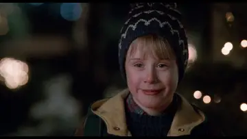 Backdrop to the movie "Home Alone 2: Lost in New York" #566979