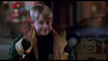 Backdrop to the movie "Home Alone 2: Lost in New York" #566984