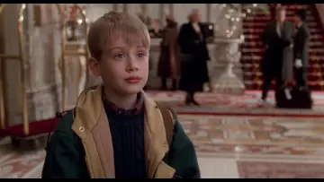 Backdrop to the movie "Home Alone 2: Lost in New York" #566995