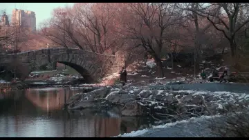 Backdrop to the movie "Home Alone 2: Lost in New York" #567012